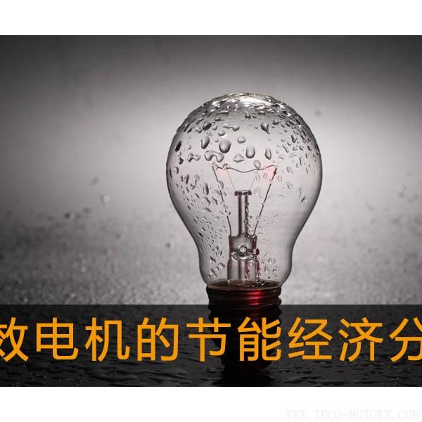 高效電機的節(jié)能經(jīng)濟分析及應(yīng)用