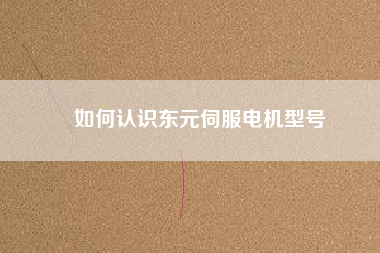 如何認(rèn)識東元伺服電機(jī)型號