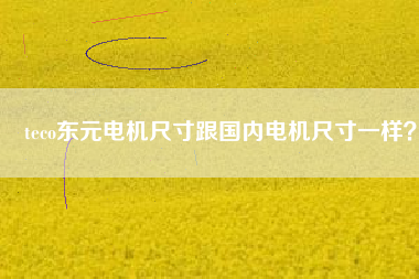 teco東元電機尺寸跟國內(nèi)電機尺寸一樣？