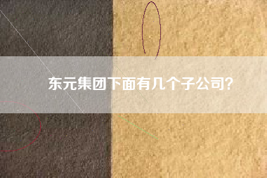 東元集團下面有幾個子公司？