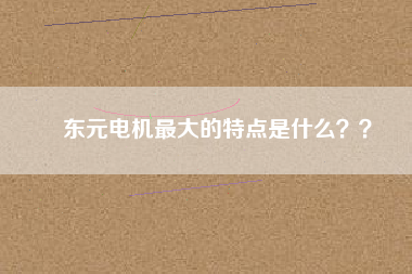 東元電機(jī)最大的特點(diǎn)是什么？？